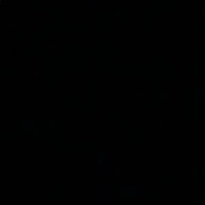 Meet your Posher, Diego